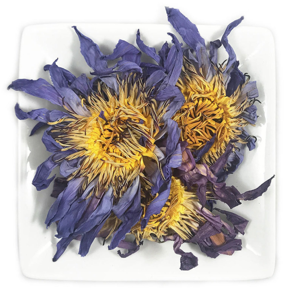 Organic Whole Blooming Blue Lotus Flowers (Nymphaea caerulea)